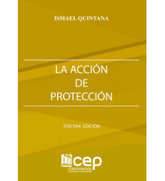 La Acción de Protección Tercera Edición