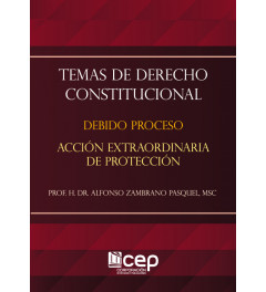 Temas de Derecho Constitucional Temas de Derecho Constitucional