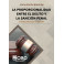 La Proporcionalidad entre el delito y la sanción penal