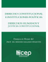 Derecho Constitucional e Instituciones Políticas - Derecho Humanos y Justicia Constitucional