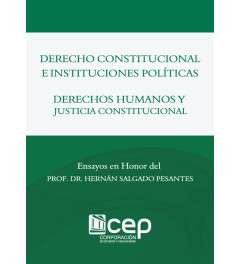 Derecho Constitucional e Instituciones Políticas - Derecho Humanos y Justicia Constitucional Derecho Constitucional e Instituciones Políticas - Derecho Humanos y Justicia Constitucional