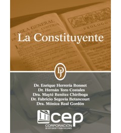 La Constituyente La Constituyente