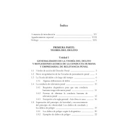 Teoría del delito y la pena