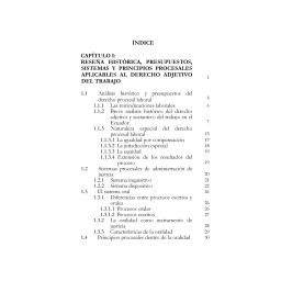 El Procedimiento Oral en...