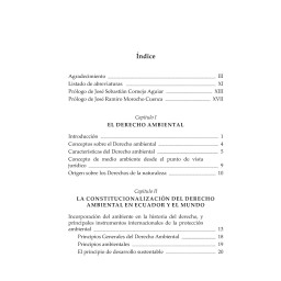 La Protección ambiental en...