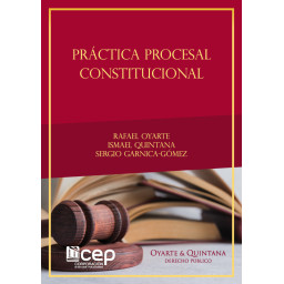 Práctica Procesal...