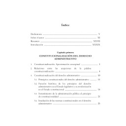 LA CONSTITUCIONALIZACIÓN...