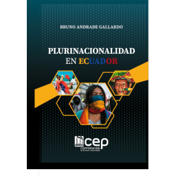 Plurinacionalidad en el...