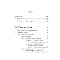 Plurinacionalidad en el...
