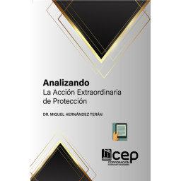 ANALIZANDO LA ACCIÓN...