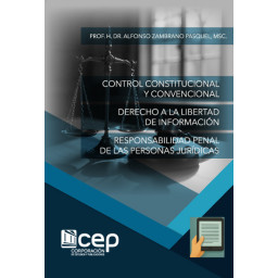 CONTROL CONSTITUCIONAL Y...