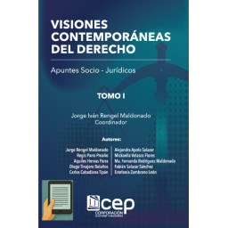 VISIONES CONTEMPORÁNEAS DEL...