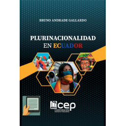 Plurinacionalidad en el...