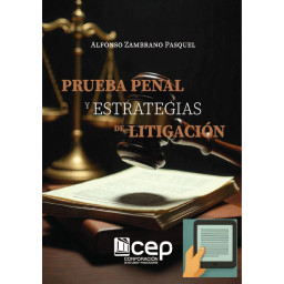 PRUEBA PENAL Y ESTRATEGIAS...