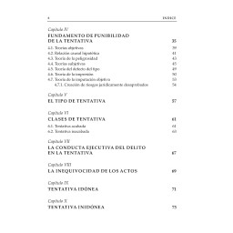 La Tentativa. Fundamento,...