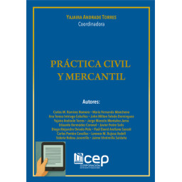 Práctica Civil y Mercantil...