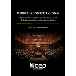 DERECHO CONSTITUCIONAL:...
