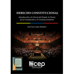 DERECHO CONSTITUCIONAL:...