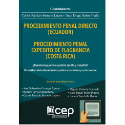 PROCEDIMIENTO PENAL DIRECTO...