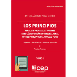 LOS PRINCIPIOS: PENALES Y...