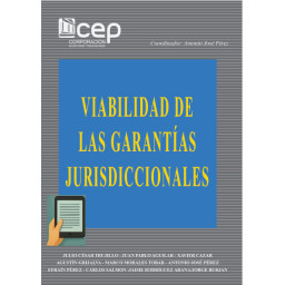 VIABILIDAD DE LAS GARANTÍAS...