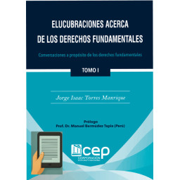 ELUCUBRACIONES ACERCA DE...