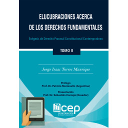 ELUCUBRACIONES ACERCA DE...