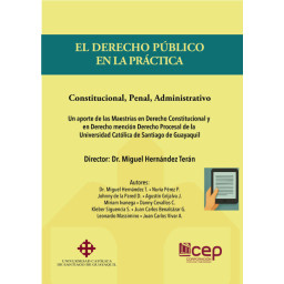 EL DERECHO PÚBLICO EN LA...