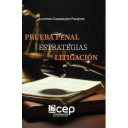 PRUEBA PENAL Y ESTRATEGIAS...