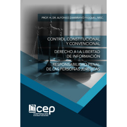 CONTROL CONSTITUCIONAL Y...