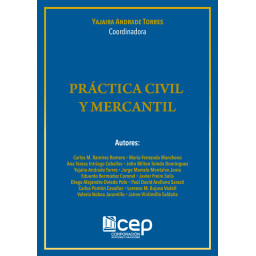 Práctica Civil y Mercantil